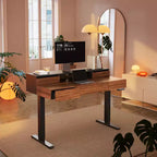 Standing Desk with Drawers, 48 Inches Electric Height Adjustable Desk with Storage, Whole Piece Board Sit Stand Up Desk with Monitor Shelf